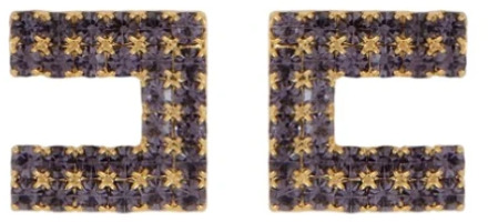 Earrings Elisabetta Franchi , Purple , Dames - ONE Size