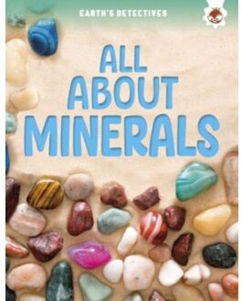 Earth's Detectives: All About Minerals - Earth's Detectives - Rebecca Storm