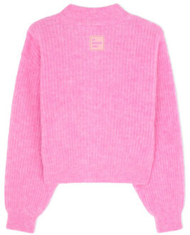 East19nh25 robuch east cardigan - maat L Roze