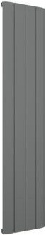 Eastbrook Design radiator verticaal aluminium mat antraciet 60x28cm 316 watt -  Eastbrook Peretti