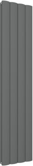 Eastbrook Guardia antraciet vertikaal designradiator aluminium