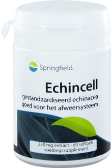 Echincell