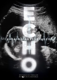 Echo - Nico De Braeckeleer - ebook