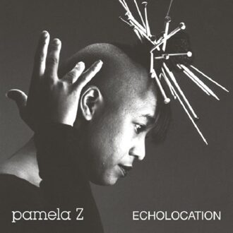 Echolocation - Pamela Z