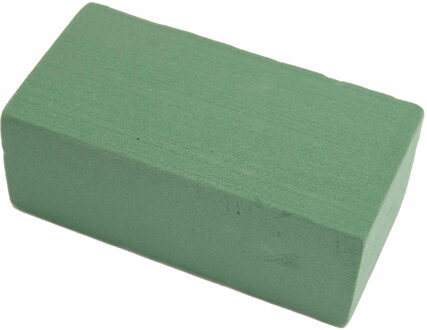 Echte kerstboom Picea Omorika in Pot 80cm