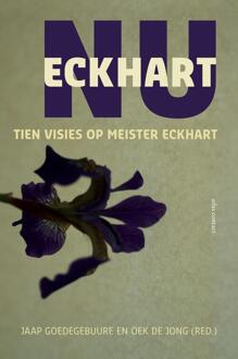 Eckhart nu - Boek Jaap Goedegebuure (9045032090)