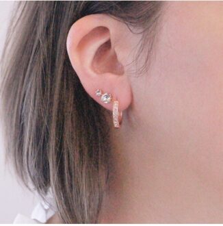 Eclat oorbellen - Oostenrijks kristal Wit en roségoud - One Size