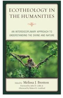 Ecotheology in the Humanities