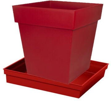 Eda Bloempot Toscane vierkant kunststof rood L32 x B32 x H32 cm inclusief onderschaal L27 x B27 x H4 cm