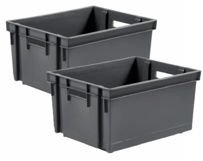 Eda Opbergkrat stapelbaar - 2x - kunststof - 10 Liter - L32 x B26 x H18 cm - grijs