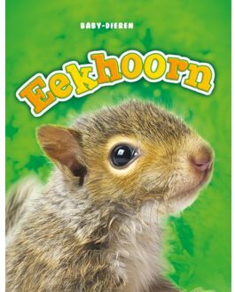 Eekhoorn - Boek Megan Borgert-Spaniol (9463412727)