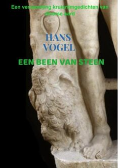Een been van steen - (ISBN:9789464488272)