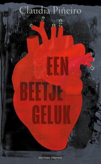 Een beetje geluk - Claudia Piñeiro - ebook