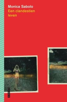 Een clandestien leven -  Monica Sabolo (ISBN: 9789022340523)