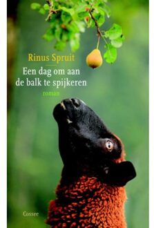 Een dag om aan de balk te spijkeren - Boek Rinus Spruit (9059364481)