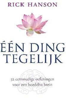 Een ding tegelijk - Boek Rick Hanson (9025901964)