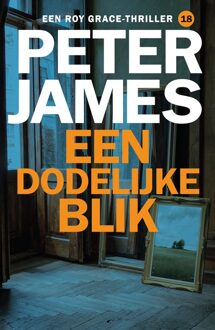 Een dodelijke blik - Peter James - ebook
