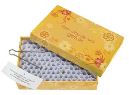 Een doosje vol geluk (kleur) - Boek BBNC Uitgevers (9045310082)