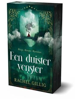Een duister venster - limited edition -  Rachel Gillig (ISBN: 9789464823752)