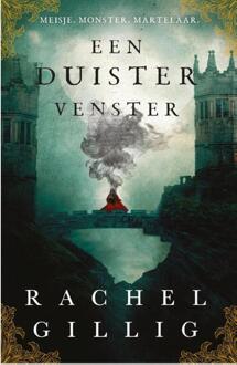 Een duister venster -  Rachel Gillig (ISBN: 9789464822199)