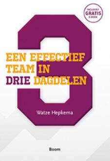 Een effectief team in drie dagdelen - Boek Watze Hepkema (9024404150)