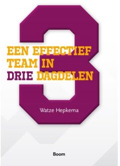 Een effectief team in drie dagdelen - Boek Watze Hepkema (9024404150)