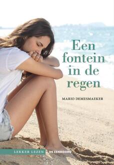 Een fontein in de regen -  Mario Demesmaeker (ISBN: 9789462917637)