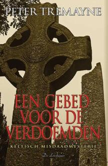 Een gebed voor de verdoemden - Boek Peter Tremayne (9086060390)