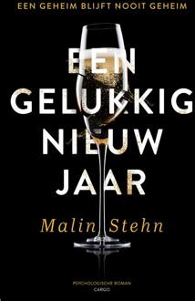 Een gelukkig nieuwjaar - Malin Stehn - ebook