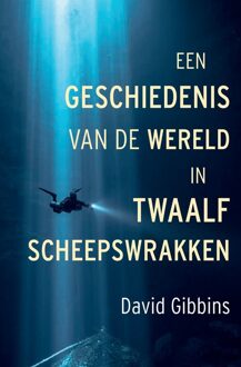 Een geschiedenis van de wereld in twaalf scheepswrakken -  David Gibbins (ISBN: 9789401919623)