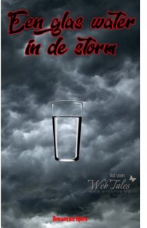 Een glas water in de storm - Boek Tom Van der Zijden (9402178252)