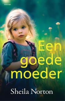 Een goede moeder -  Sheila Norton (ISBN: 9789044396003)