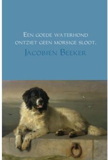 Een goede waterhond ontziet geen morsige sloot