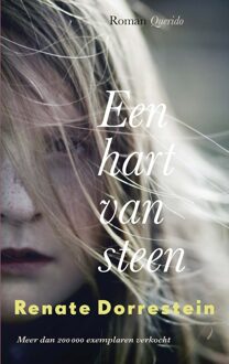 Een hart van steen - Boek Renate Dorrestein (902141564X)