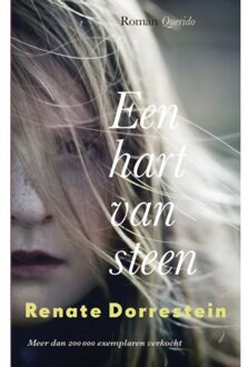 Een hart van steen - Boek Renate Dorrestein (902141564X)