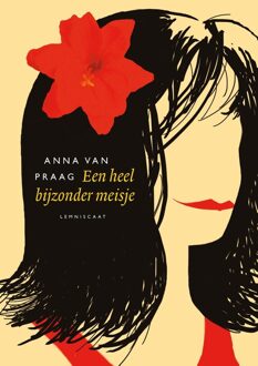 Een heel bijzonder meisje - Anna van Praag - ebook