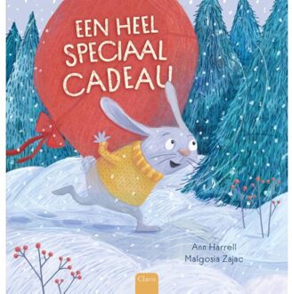 Een Heel Speciaal Cadeau - Ann Harrell