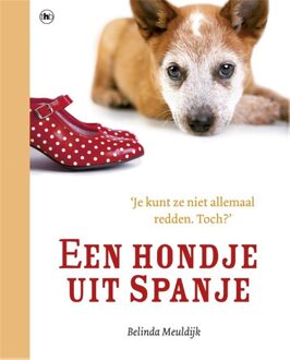 Een hondje uit Spanje - eBook Belinda Meuldijk (904433655X)