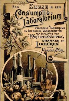 Een kijkje in een consumptie-laboratorium - Boek Francois Blom (9491982028)