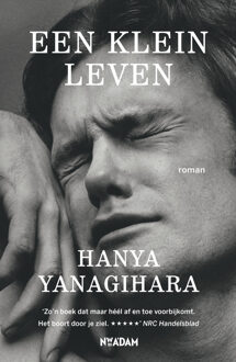 Een klein leven - Boek Hanya Yanagihara (9046820319)