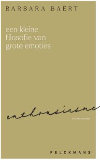 Een kleine filosofie van grote emoties: Enthousiasme - Barbara Baert - ebook