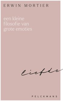 Een kleine filosofie van grote emoties: Liefde - Erwin Mortier - ebook