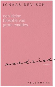 Een kleine filosofie van grote emoties: Verdriet - Ignaas Devisch - ebook