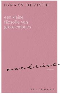 Een kleine filosofie van grote emoties: Verdriet -  Ignaas Devisch (ISBN: 9789462348035)