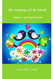 Een knipoog uit de hemel - Boek Hannie Piket - Schuller (9462544697)