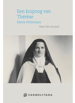 Een Knipoog Van Therese - Kathy Van Brussel
