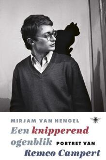 Een knipperend ogenblik - Boek Mirjam van Hengel (9403122900)