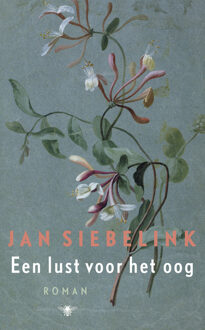 Een lust voor het oog - Boek Jan Siebelink (9023456513)