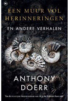 Een Muur Vol Herinneringen