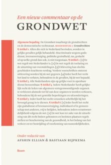 Een Nieuw Commentaar Op De Grondwet